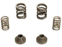 P7100 Governor Spring Kit 3000rpm Dodge RAM 2500/3500 1994-1998 5.9L 12-Valve Engine BD Diesel