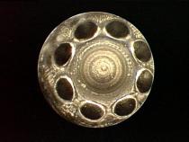 Dodge 98.5-02 24v Injector Set 200hp Dynomite Diesel